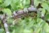 57020 – Photo : Denis Vandromme – France (36)