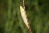 57410 – Photo : Serge Wambeke – France (59)