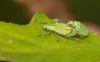 57327 – Photo : patrick derennes – France (91)
