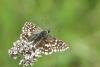 57251 – Photo : Michel Renou – France (91)