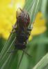 57071 – Photo : gauthier – France (38)