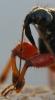 58771 – Photo : Anne Forgues – France (11)