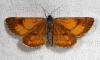 58100 – Photo : Dimitri GEYSTOR – France (47)