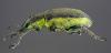 58758 – Photo : J.-H. Yvinec – France (60)