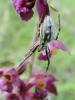 58609 – Photo : Arnaud Jean-Pierre – France (09)