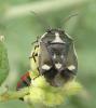 58718 – Photo : Phil – France (40)