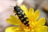 58948 – Photo : OCIS – France (04)