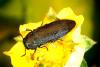 58949 – Photo : OCIS – France (04)