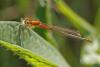 58637 – Photo : Marc Solari – France (13)