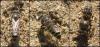 58068 – Photo : Phil – France (40)