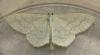 58306 – Photo : Louis Weitten – France (57)