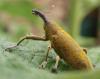 58269 – Photo : jean-pierre Billat – France (16)
