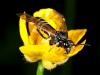 58241 – Photo : Carlos Ordonez – Suisse