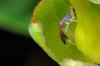 59837 – Photo : Christophe Quintin – France (22)
