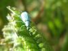59051 – Photo : Zogrot – France (62)
