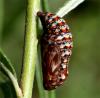 59848 – Photo : Pelouard – France (74)
