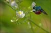 59568 – Photo : Carlos Moreno – France (34)