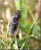 59794 – Photo : Marc ERARD – France (29)