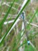59679 – Photo : Zogrot – France (59)