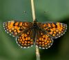 59793 – Photo : Pelouard – France (74)