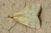59761 – Photo : Louis Weitten – France (57)