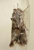59727 – Photo : Louis Weitten – France (57)