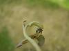 59494 – Photo : Jean-Claude HENRION – France (55)