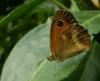 59778 – Photo : Gilles SALAMA – France (47)