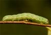 6791 – Photo : Pelouard – France (72)