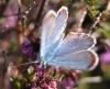 6924 – Photo : Mael Garrin – France (30)