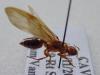 6873 – Photo : William VAN DE WALLE – Guyane française
