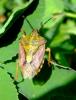 60497 – Photo : Magalie Mazuy – France (39)