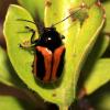 60799 – Photo : Vincent Derreumaux – France (04)