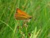 60633 – Photo : jeromebubu – France (47)