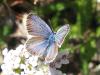 60441 – Photo : jeromebubu – France (30)