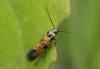60358 – Photo : Frederic Le Touze – France (76)