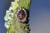 60146 – Photo : Christophe Quintin – France (22)