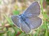 60410 – Photo : wns – Espagne
