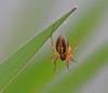 60466 – Photo : Marc ERARD – France (69)