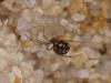 60459 – Photo : Yann Carasco – France (67)