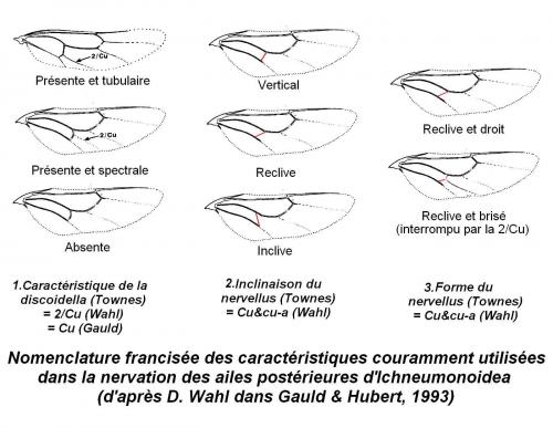 Indéterminé