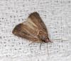 61020 – Photo : Dimitri GEYSTOR – France (47)