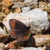 61295 – Photo : Nicolas Helitas – France (73)