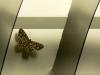 61249 – Photo : Larue Philippe – France (18)