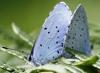 61235 – Photo : David Guedon – France (76)