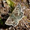 61293 – Photo : Nicolas Helitas – France (73)