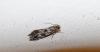 62860 – Photo : Arnaud Jean-Pierre – France (09)