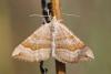 62067 – Photo : Marc Solari – France (68)