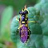 62100 – Photo : Bernard VENEAU – France (41)