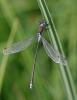 62034 – Photo : Marc Solari – France (68)